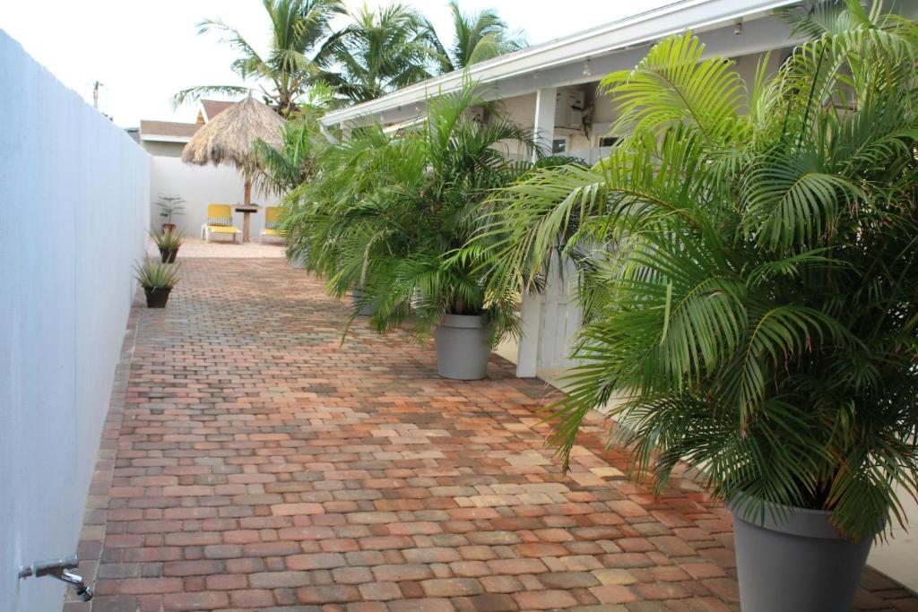 einen Backsteinsteg mit Palmen in Töpfen neben einem Gebäude in der Unterkunft Dancing Iguanas in Oranjestad