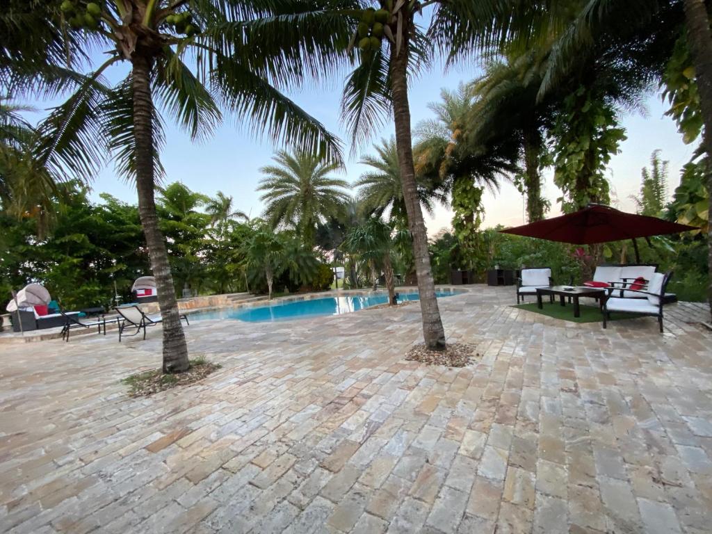 - une piscine avec des palmiers, une table et des chaises dans l'établissement Arritola B and B Ranch, à Homestead