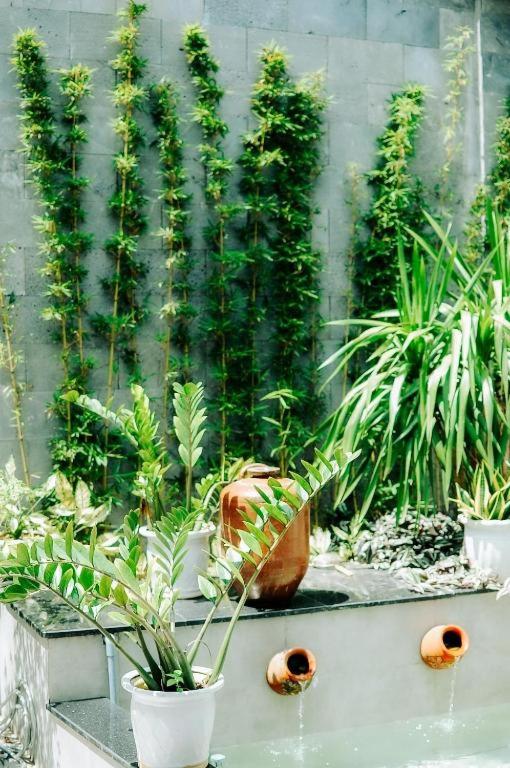 Vườn quanh Chi Homestay #4