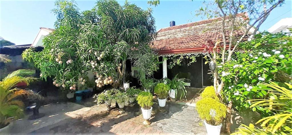 Zahrada ubytování Alexandra Family Villa