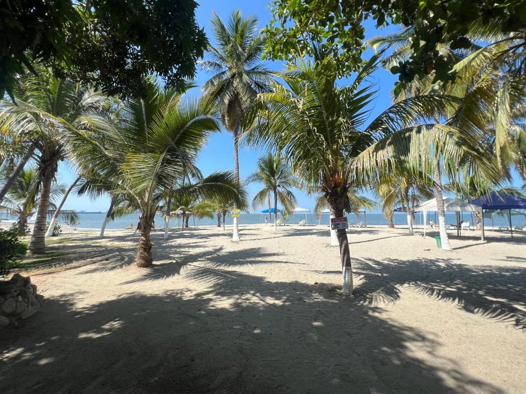 uma praia arenosa com palmeiras e o oceano em APARTAMENTO EN PLAYA DECAMERON em Santa Marta