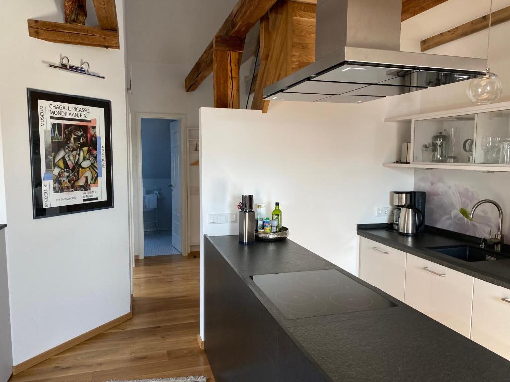 Kuchyň nebo kuchyňský kout v ubytování Altes Pfarrhaus