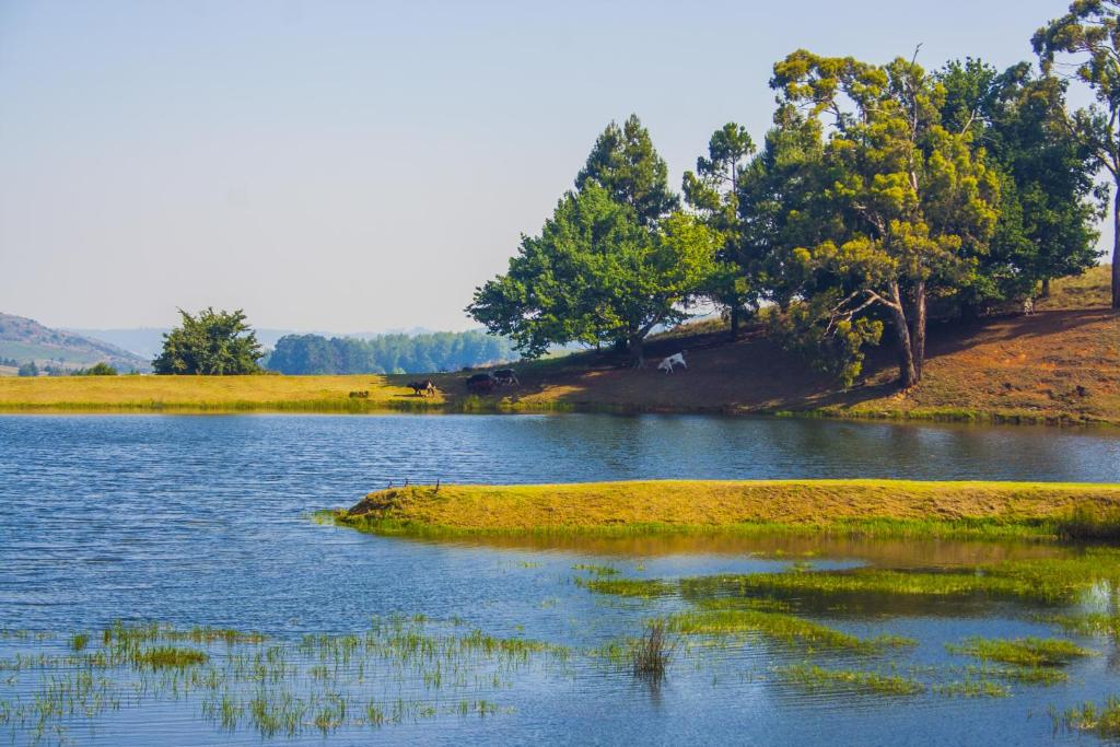 a large body of water with trees in the background at Thatchings Guest House in Nottingham Road