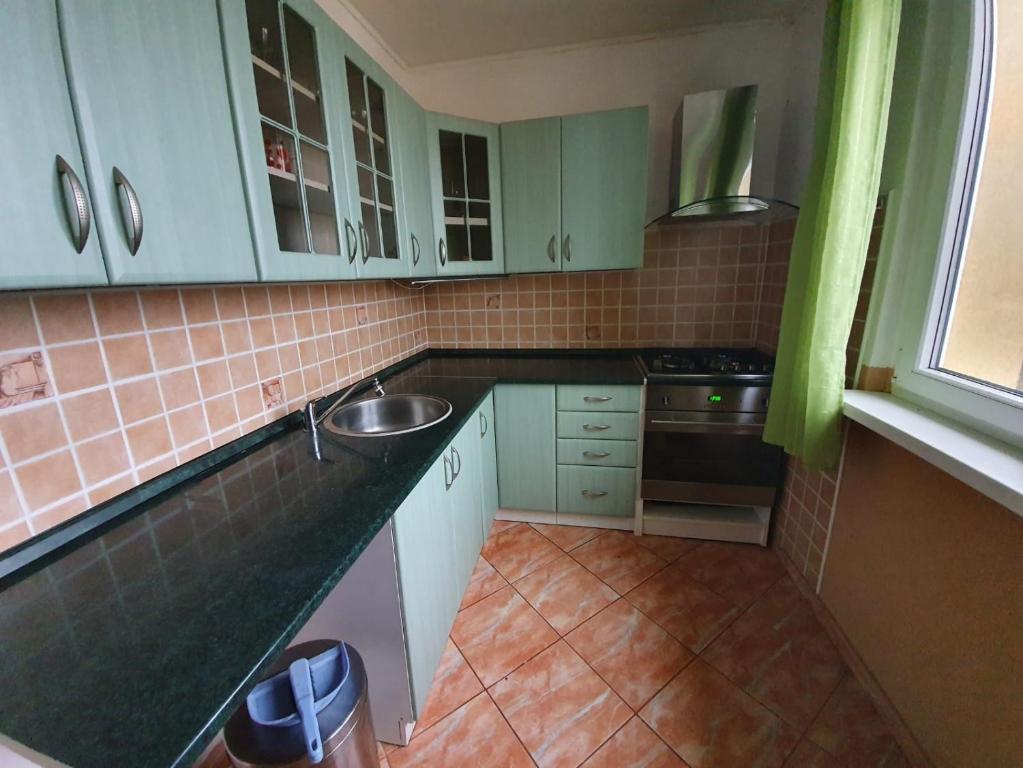 a kitchen with green cabinets and a sink at Báječný Most in Most