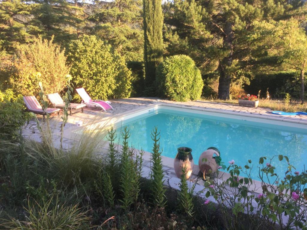 a dog is standing next to a swimming pool at La fabrique des petits bonheurs in Dieulefit