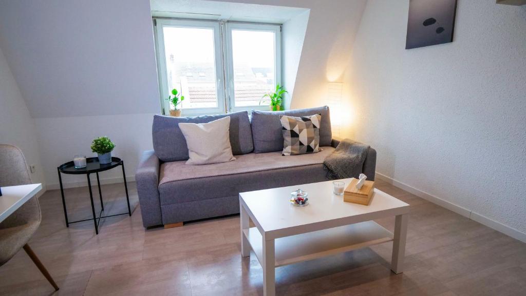 Le 4 - Très beau appartement T3 Neuf, tout confort, Mulhouse centre ville - stationnement gratuit – photo 9