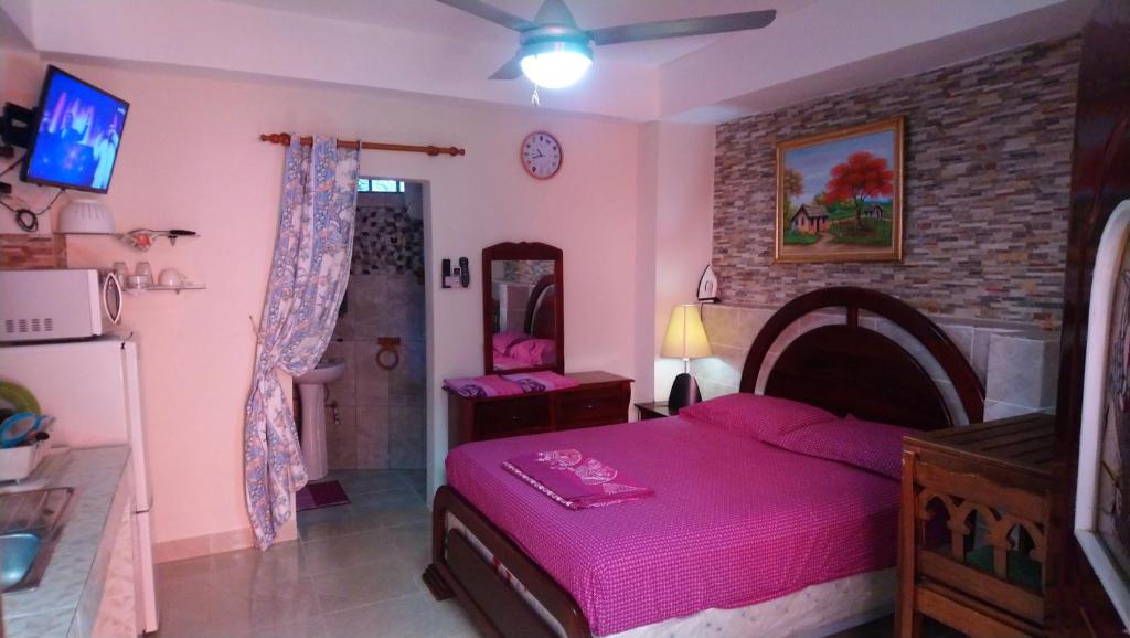 1 dormitorio con cama rosa y espejo en Guest-House alquiler, en Santo Domingo