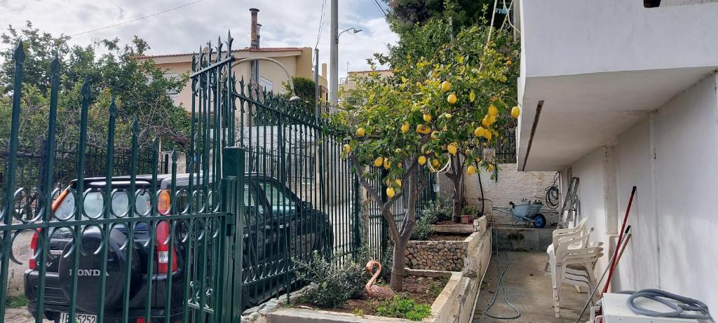 Una valla verde con un limonero al lado de una casa. en Elena's Family House, en Artemida