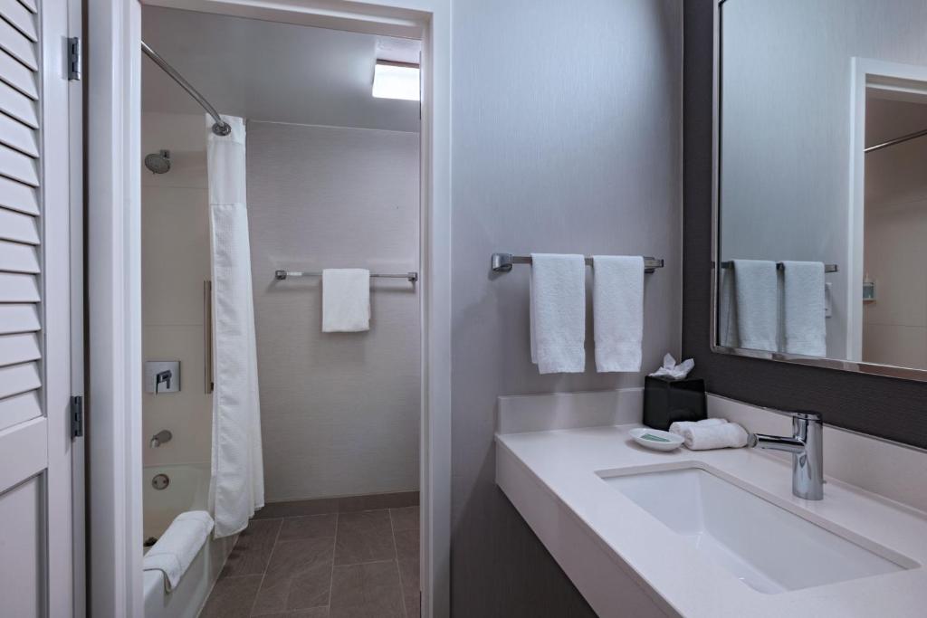 Koupelna v ubytování Courtyard by Marriott Dallas Richardson at Spring Valley