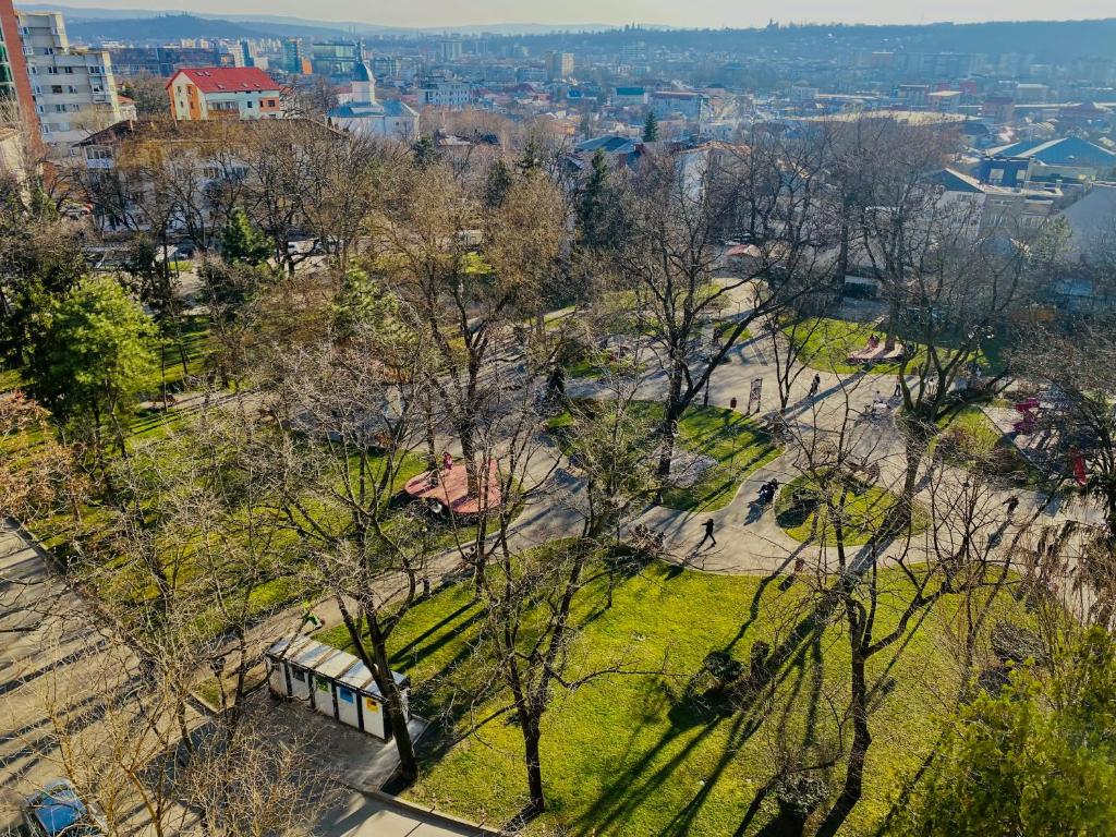 een uitzicht over een park met bomen en gras bij City Center Apartments - Piața Unirii in Iaşi