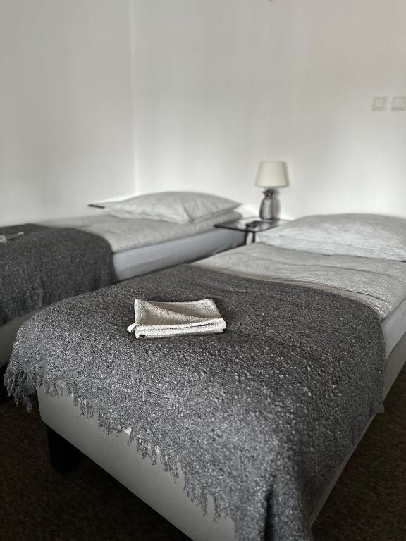 Zajazd Irina - Resim 6