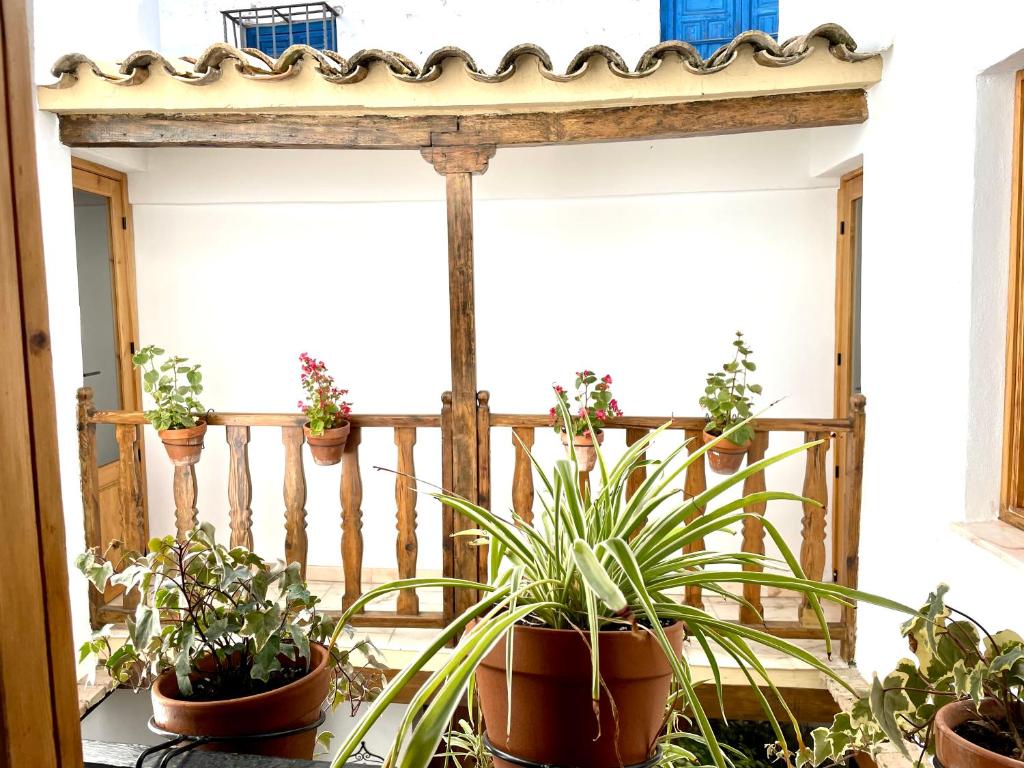 Apartamento en Casa Patio "Pan y Conejo" - 4