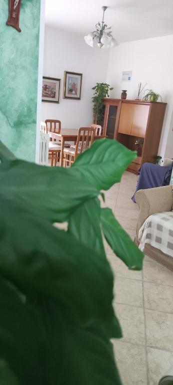 Dimora Nonna Angela - 8