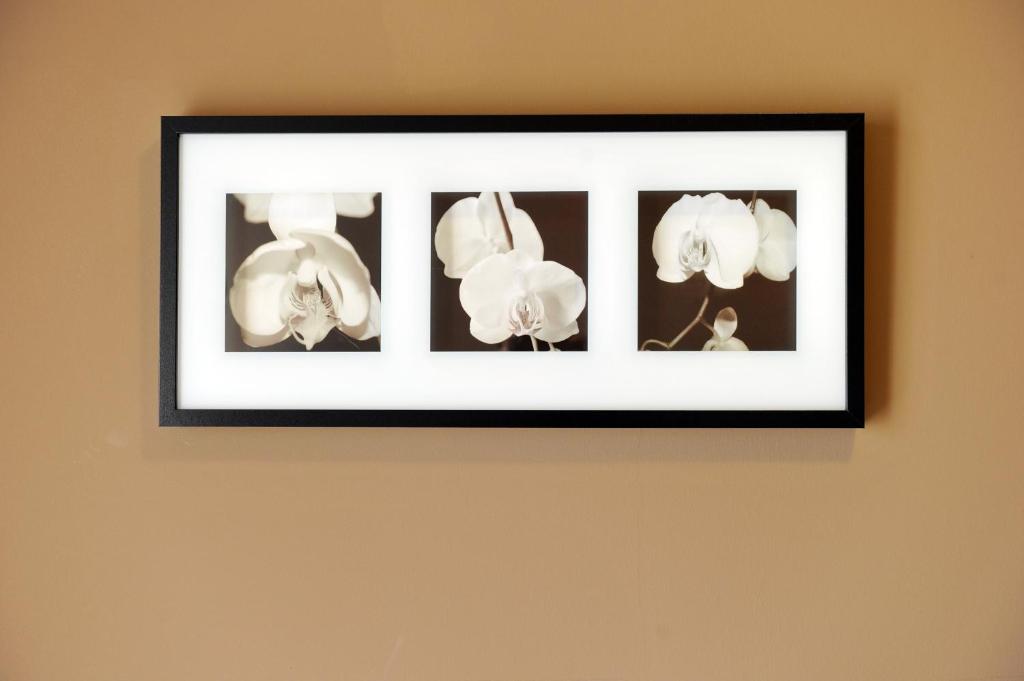 Fotografie z fotogalerie ubytování M14 Hotel & Spa v destinaci Padova