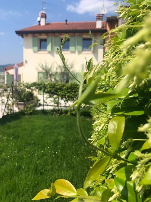 een huis met een tuin met groen gras bij Calandrine Holiday Villa in San Pietro in Cariano