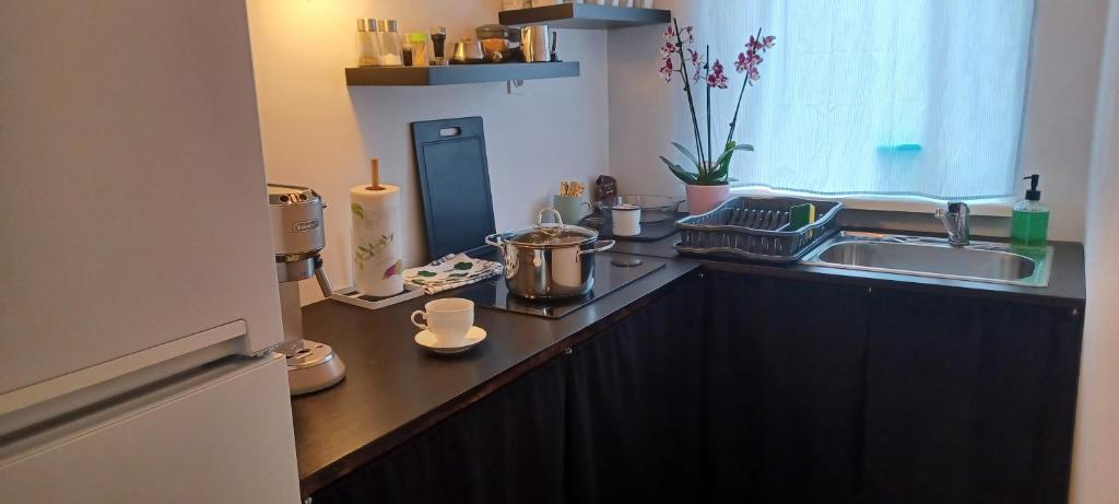 Studio apartman Ada - 6