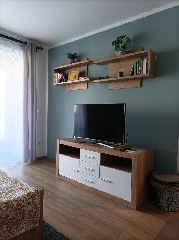 Televízia a/alebo spoločenská miestnosť v ubytovaní City and Thermal Apartman