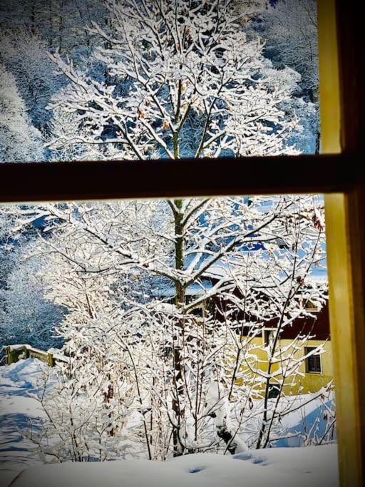 Luxury & Cosy 3.5 rooms apartment in almost 300 years old Chalet - Resim 11