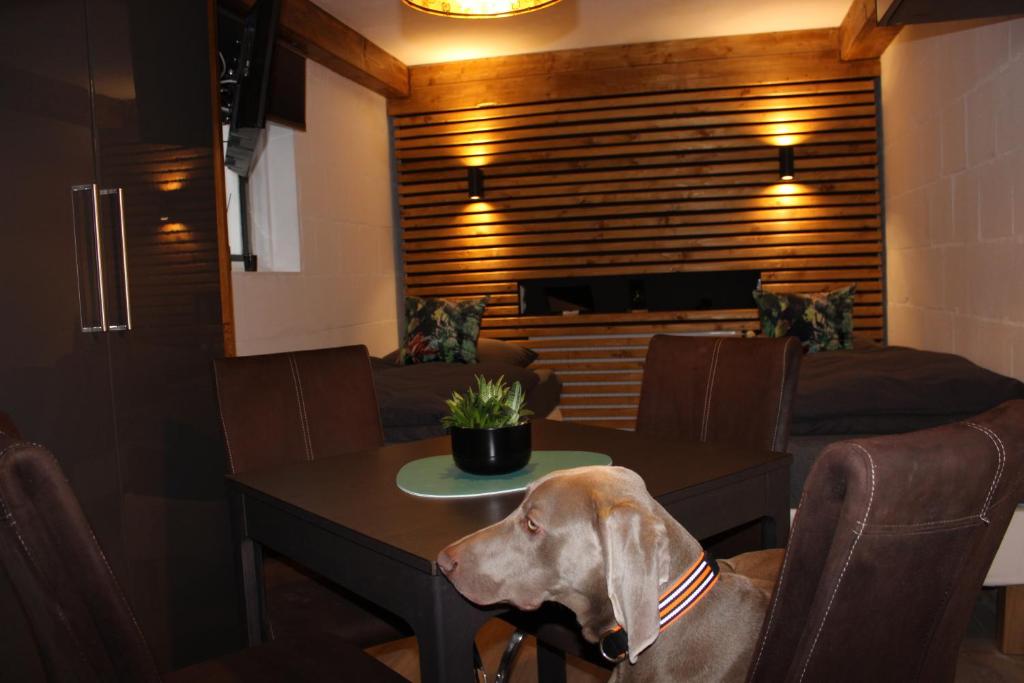Posezení v ubytování KLEINE SOUTERRAIN WOHNUNG NÄHE HAMBURG