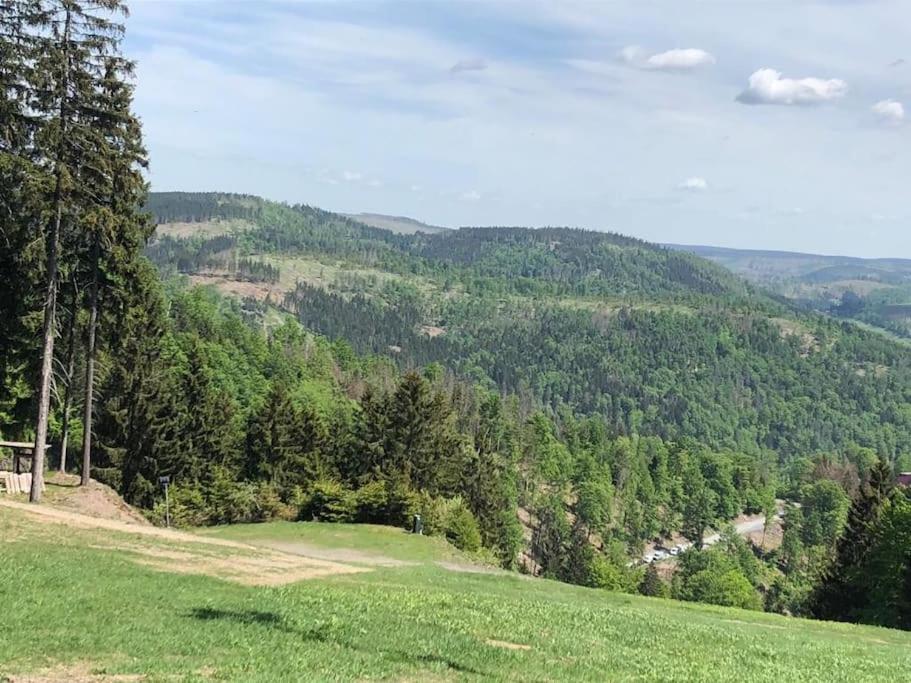 Příroda nedaleko apartmánu