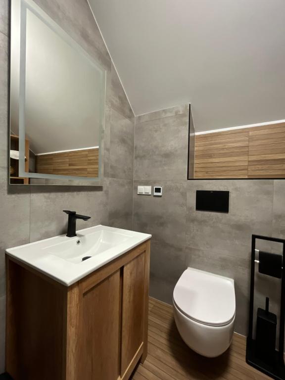 ein Badezimmer mit einem weißen Waschbecken und einem WC in der Unterkunft Karkonoskie Zacisze pod Śnieżką in Miłków