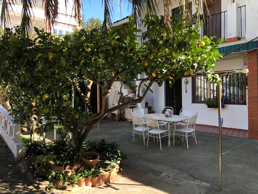 patio con tavolo e sedie sotto un albero di arancio di Casa Las Violetas ad Altura