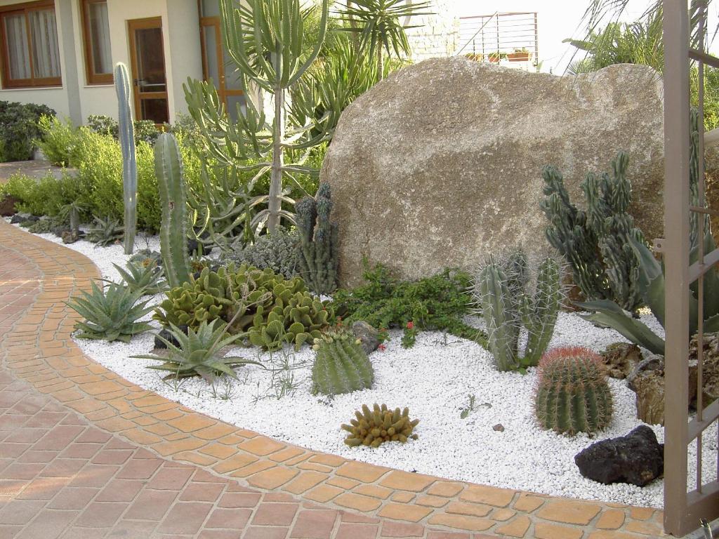 a succulent garden with a large rock and cactus at Hotel Santa Chiara in Capo Vaticano