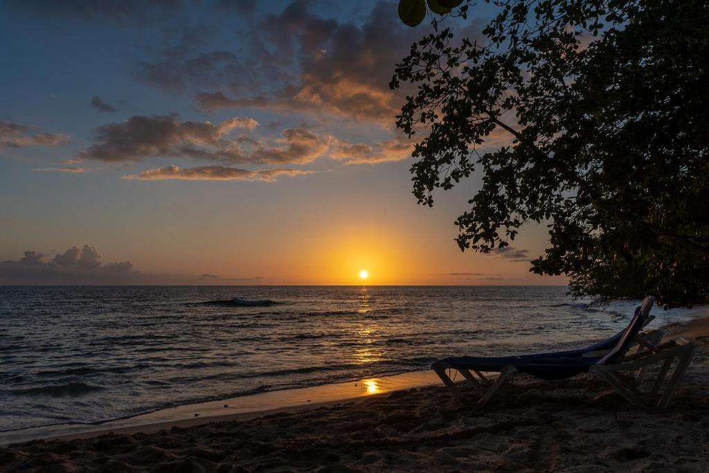 Cosy Getaway في Orange Bay: كرسي للجلوس على الشاطئ مشاهدة غروب الشمس
