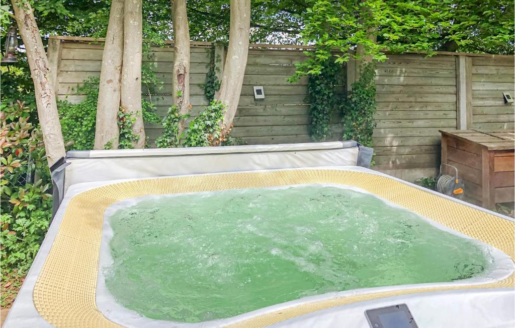 een hot tub gevuld met groen water in een achtertuin bij Residentie De Mors Type Dinkel in Delden