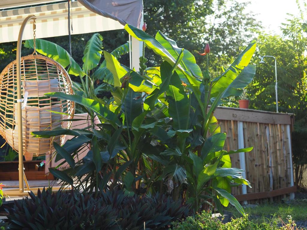 Zahrada ubytování S'cale TropiKal - Gite cosy avec piscine privée