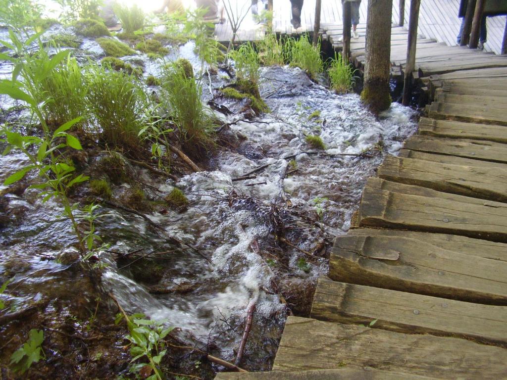 Apartman & Sobe Orhideja - 9