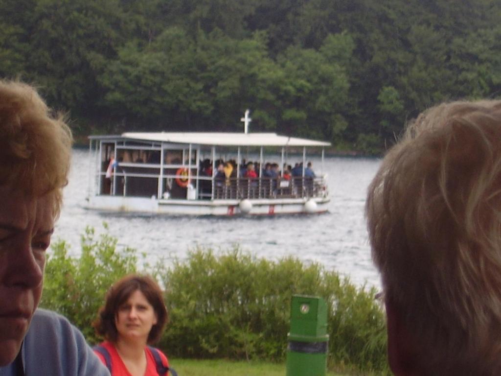 Apartman & Sobe Orhideja - 6