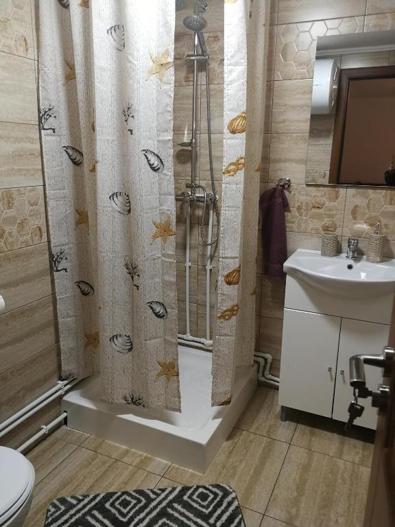 Koupelna v ubytování Căsuțe Zăvoi Bulz