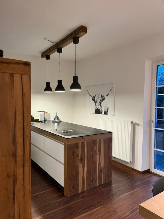 a kitchen with a counter with a cow on the wall at Apartment Leo6 in Salzburg