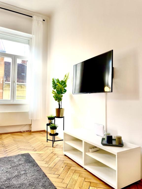 TV a/nebo společenská místnost v ubytování Eotvos 25 Apartment
