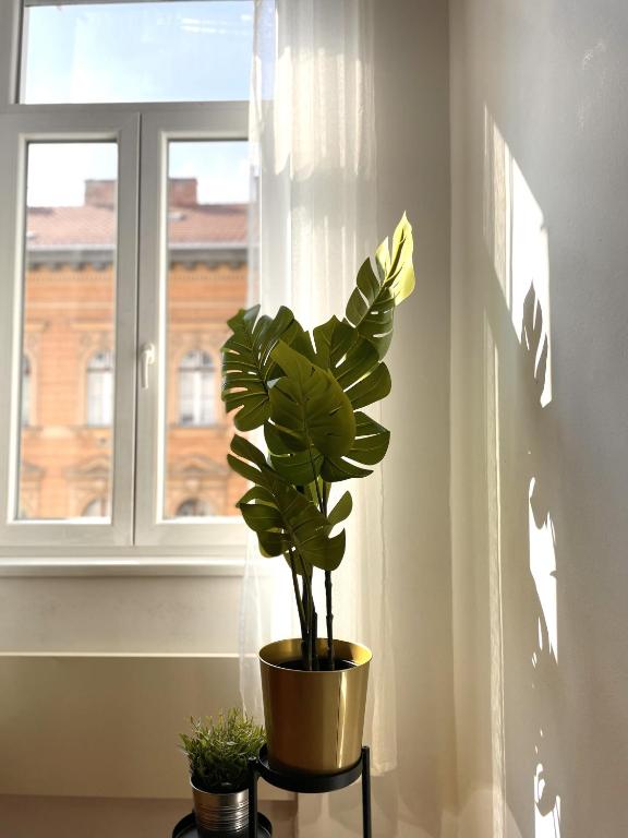 Fotografie z fotogalerie ubytování Eotvos 25 Apartment v Budapešti