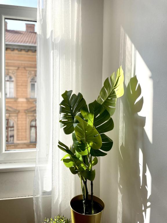 Fotografie z fotogalerie ubytování Eotvos 25 Apartment v Budapešti