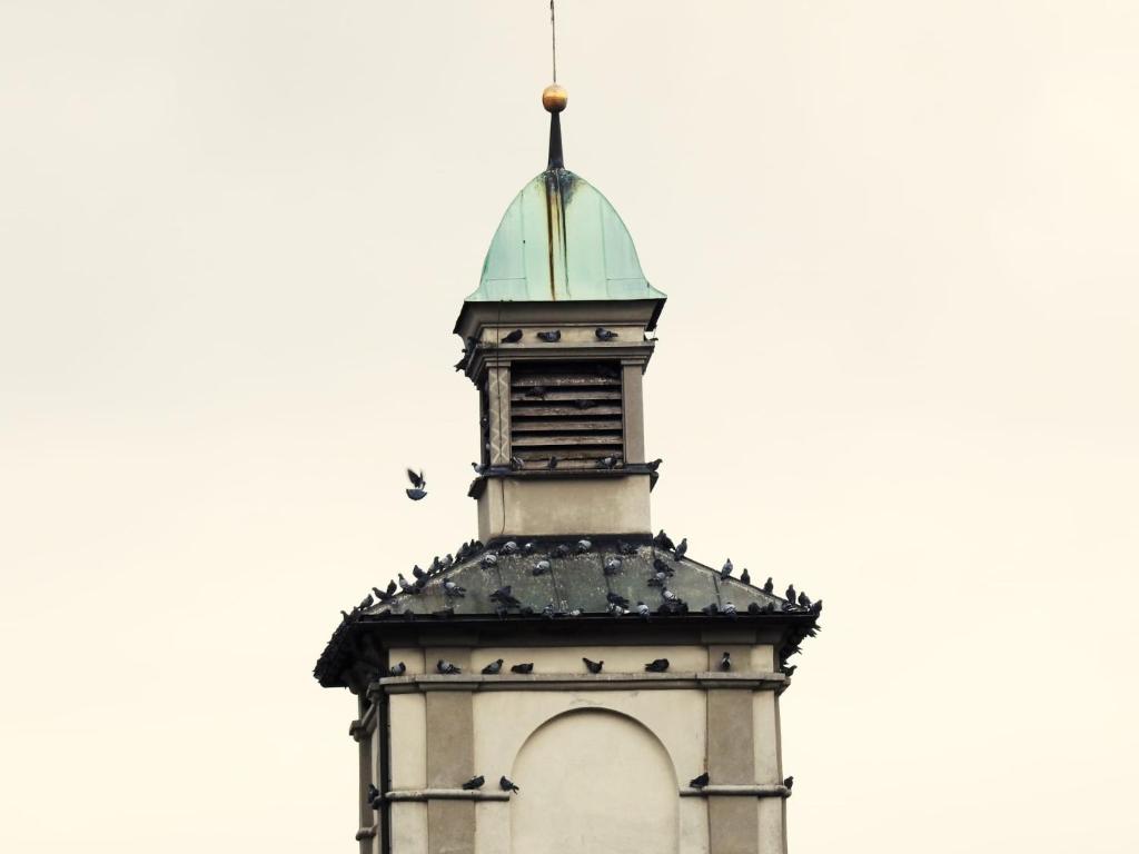 una torre dell'orologio con un uccello sopra. di Hotel Hecht a Feldkirch