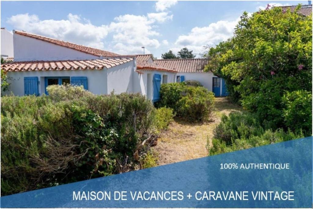 Les Demoiselles de Notre Dame - Housity