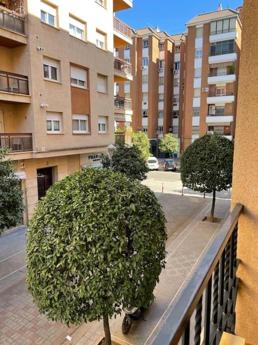 The building in which Az apartmant is located