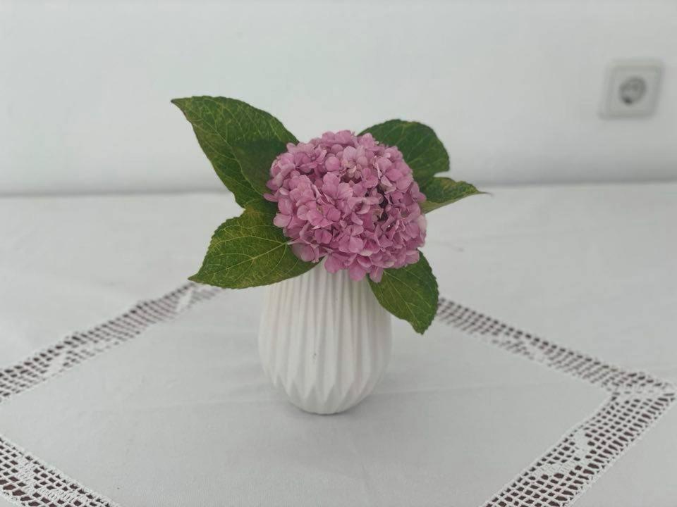 różowy kwiat w białej wazie na stole w obiekcie House with view the Ionian sea w Prewezie
