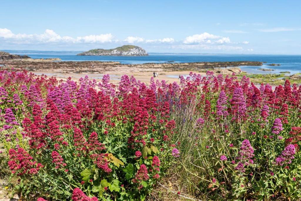 Fotografie z fotogalerie ubytování By The Beach v destinaci North Berwick