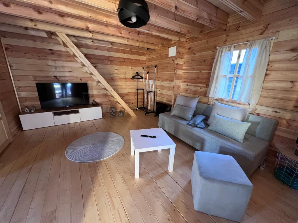 a living room with a couch and a tv at Family Apartments Myto pod Dumbierom in Mýto pod Ďumbierom