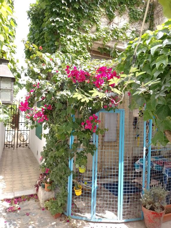 a blue gate with pink flowers on it at Villa Azul in Buenos Aires