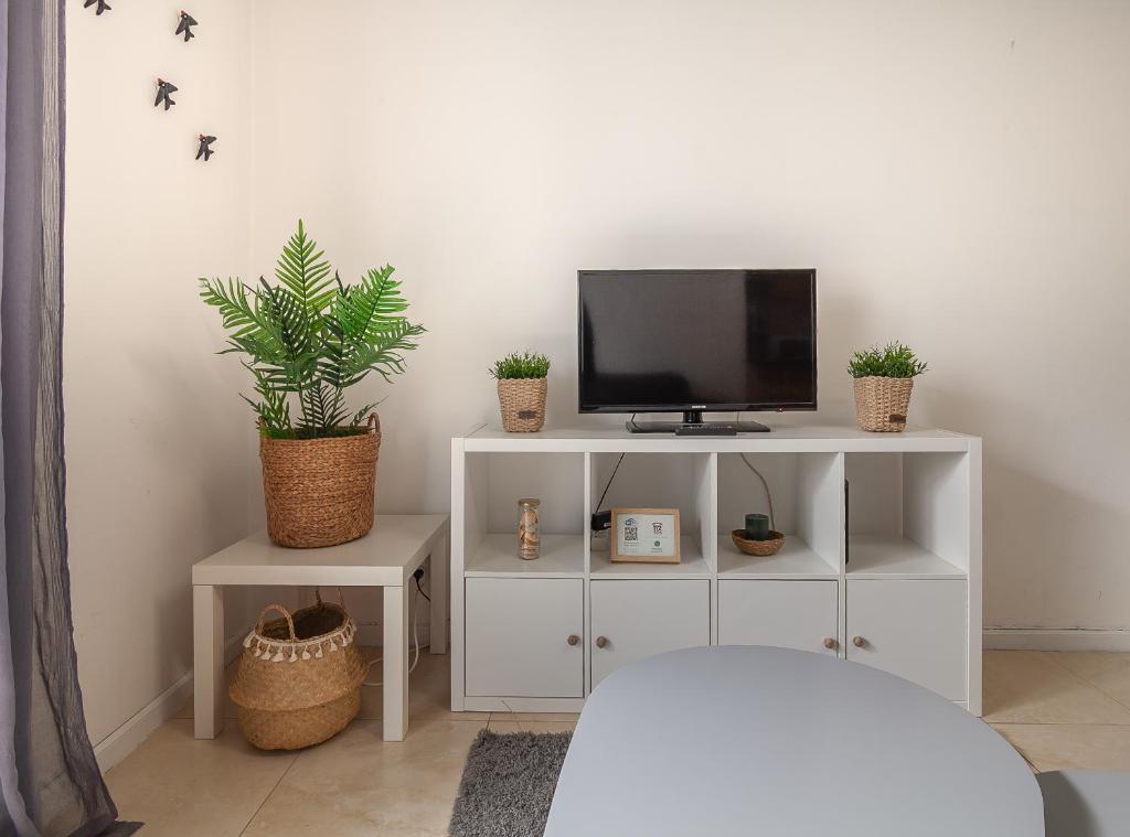 a white entertainment center with a tv and potted plants at Arrochela by Home Sweet Home Aveiro in Aveiro