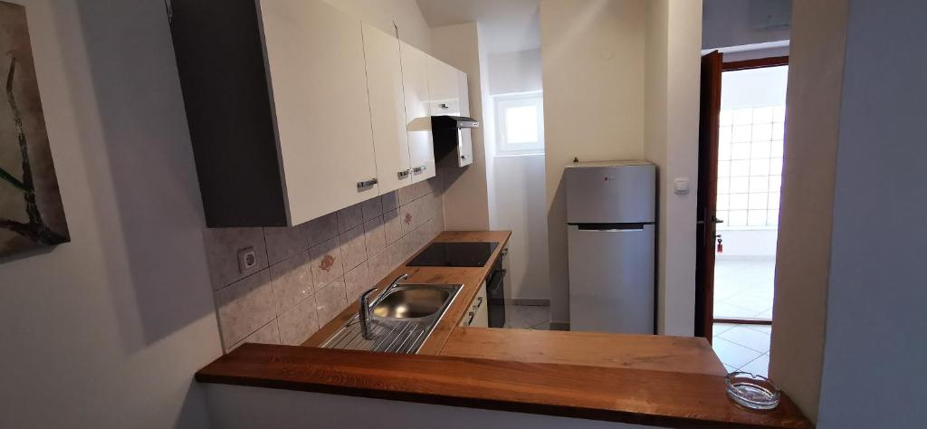Kuchyň nebo kuchyňský kout v ubytování Apartments Marin, Kolan, Mandre, Pag