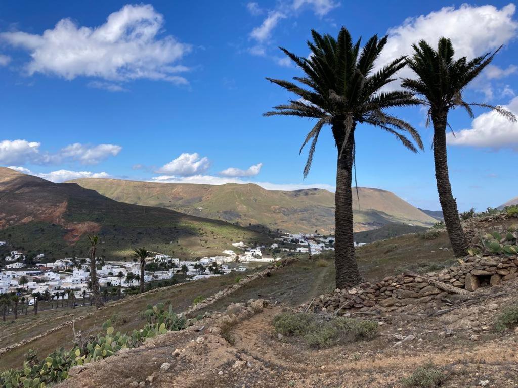 two palm trees on a hill with a town in the background at Apartamento Pirul in Haría