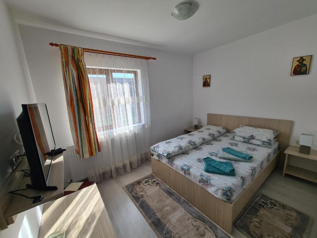 a bedroom with a bed and a tv and a window at CAZARE TURISM PRISLOP in Haţeg