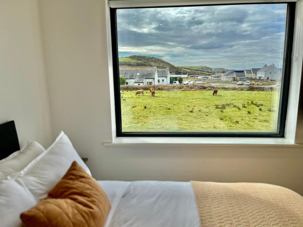 a bedroom with a window with a view of a field at Greene Acres - Room Only in Doolin