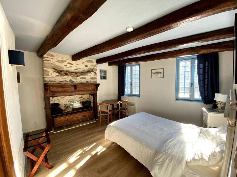um quarto com uma cama e uma lareira em Maison pêcheur sur la Dordogne em Argentat
